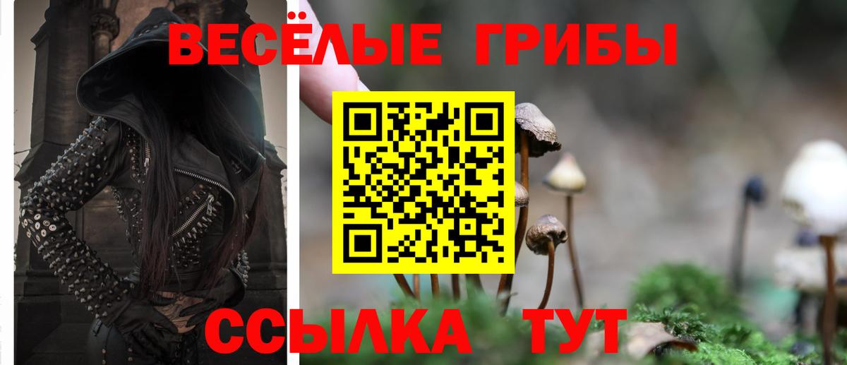 Галлюциногенные грибы Psilocybe Ступино